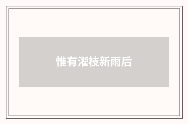 惟有濯枝新雨后