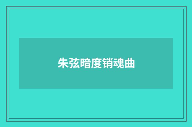 朱弦暗度销魂曲