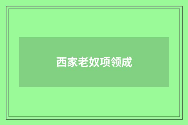 西家老奴项领成