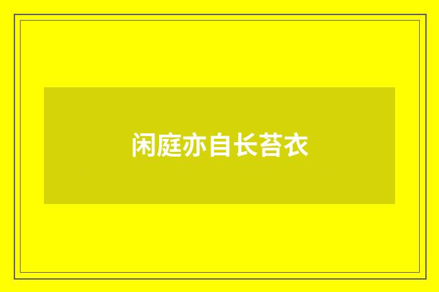 闲庭亦自长苔衣