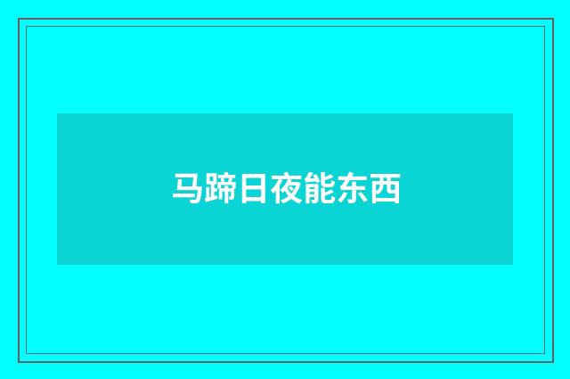 马蹄日夜能东西