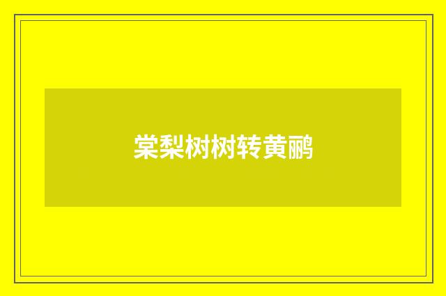棠梨树树转黄鹂