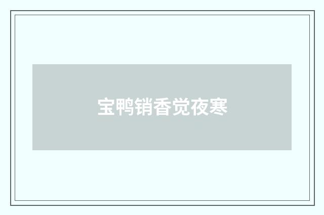 宝鸭销香觉夜寒
