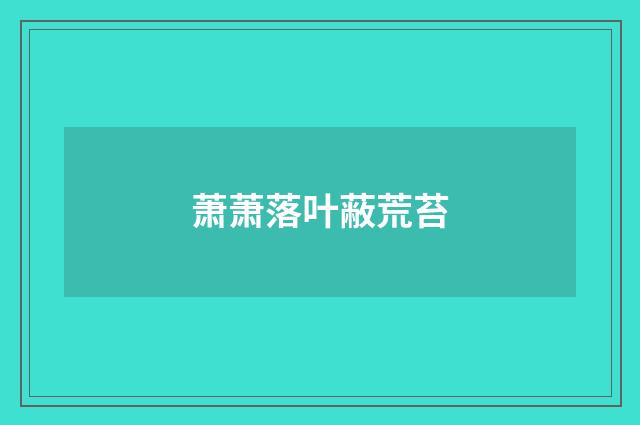萧萧落叶蔽荒苔
