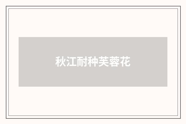 秋江耐种芙蓉花