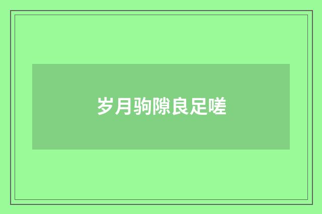 岁月驹隙良足嗟