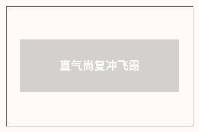 直气尚复冲飞霞