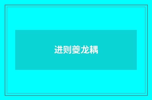 进则夔龙耦