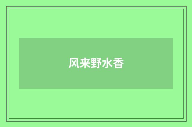 风来野水香