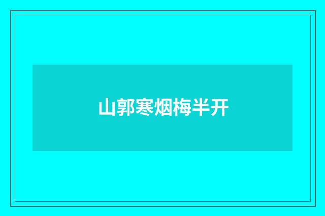 山郭寒烟梅半开