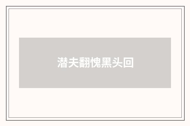 潜夫翻愧黑头回