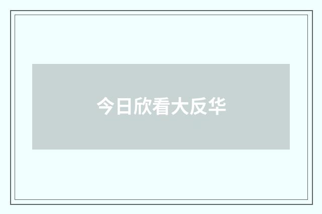 今日欣看大反华