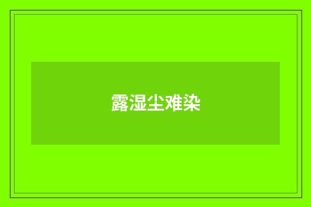 露湿尘难染