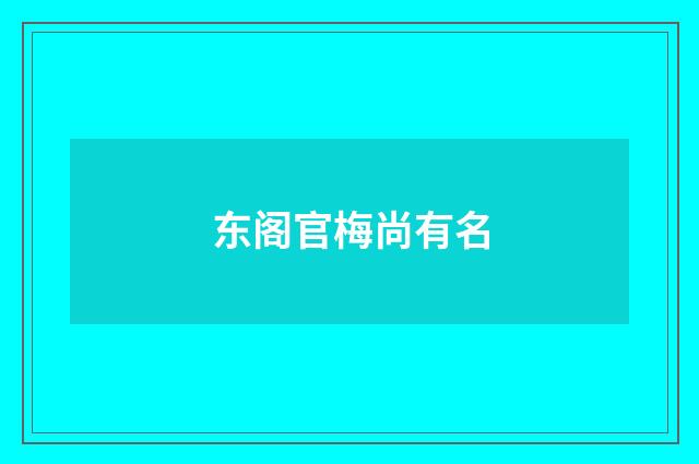 东阁官梅尚有名