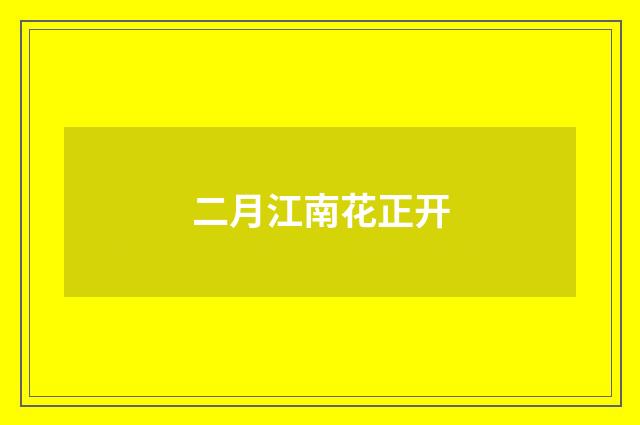 二月江南花正开