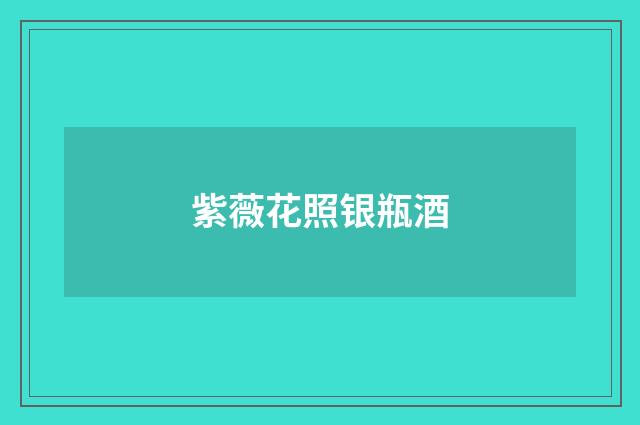 紫薇花照银瓶酒