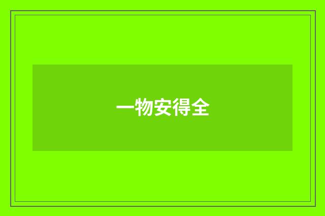 一物安得全