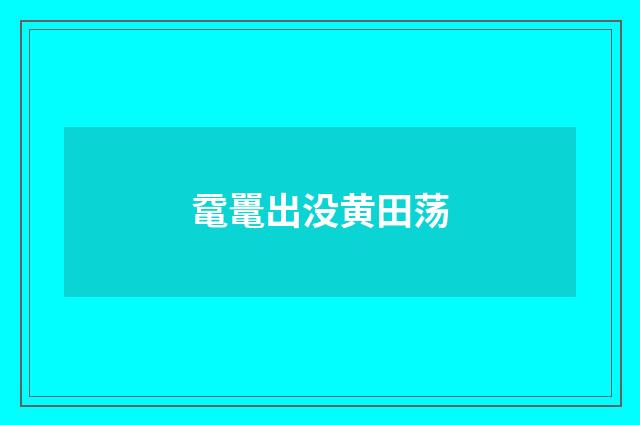 鼋鼍出没黄田荡