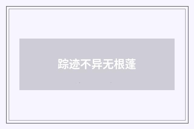 踪迹不异无根蓬