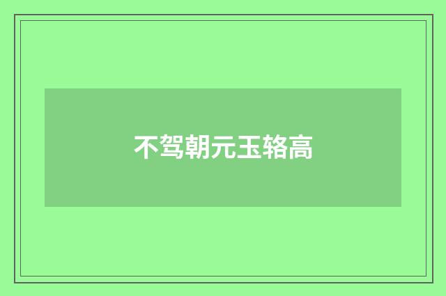 不驾朝元玉辂高