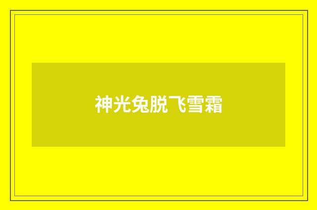 神光兔脱飞雪霜