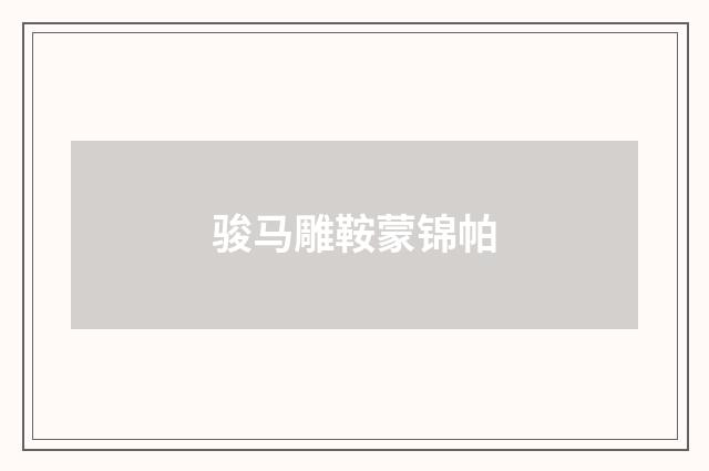 骏马雕鞍蒙锦帕