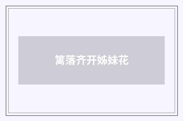 篱落齐开姊妹花