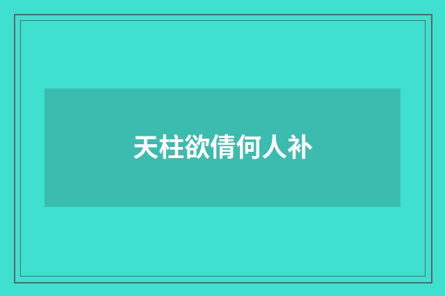 天柱欲倩何人补