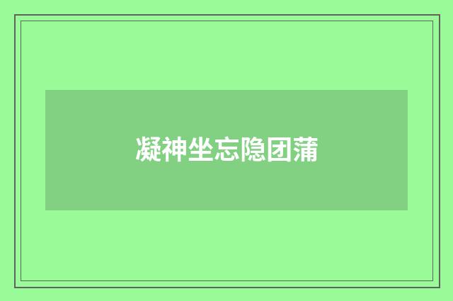 凝神坐忘隐团蒲