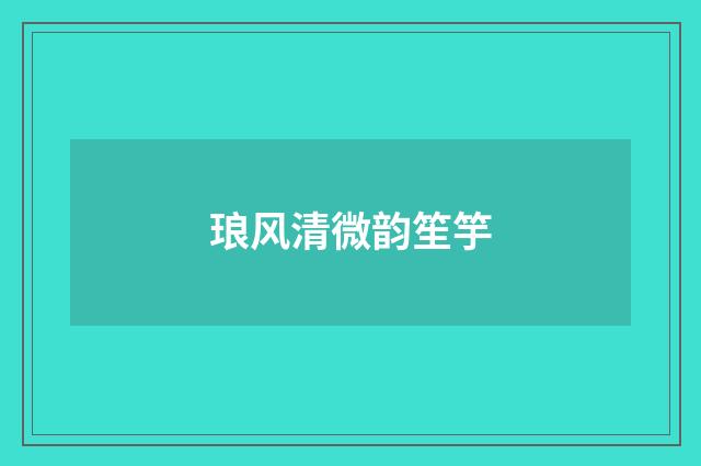 琅风清微韵笙竽