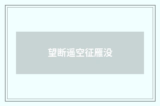 望断遥空征雁没