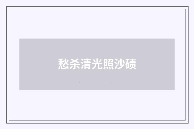 愁杀清光照沙碛
