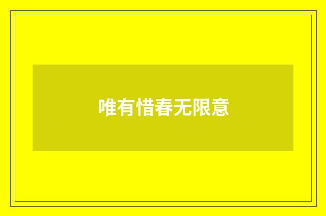 唯有惜春无限意