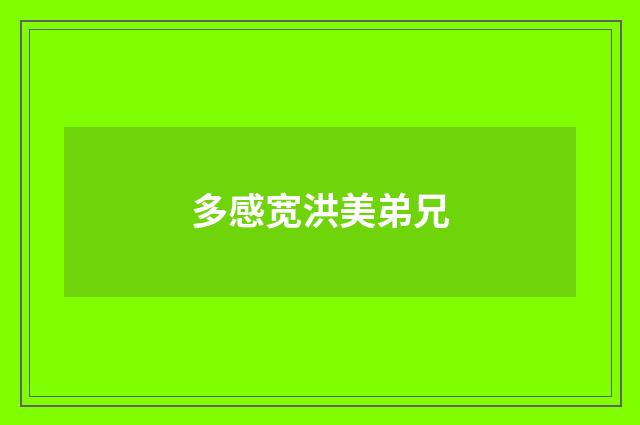 多感宽洪美弟兄