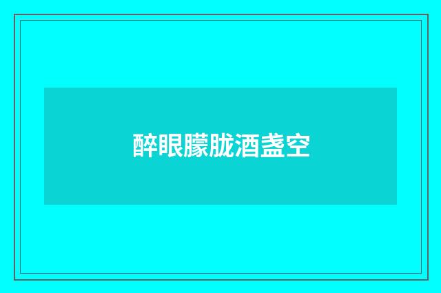 醉眼朦胧酒盏空
