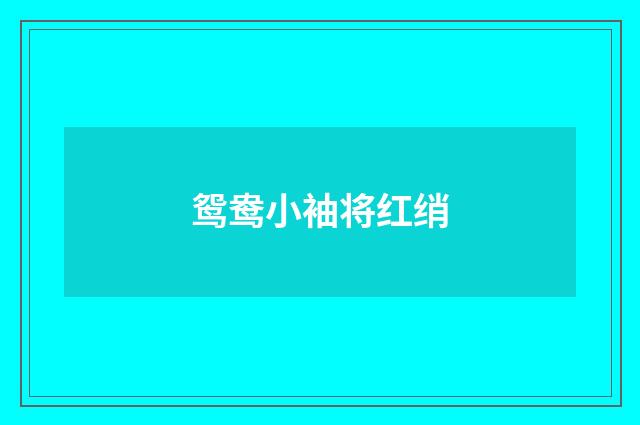 鸳鸯小袖将红绡