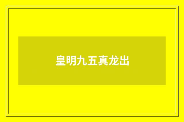 皇明九五真龙出