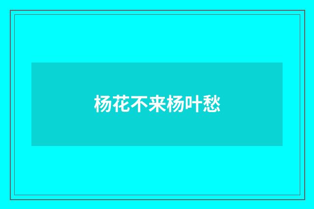 杨花不来杨叶愁