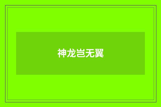 神龙岂无翼