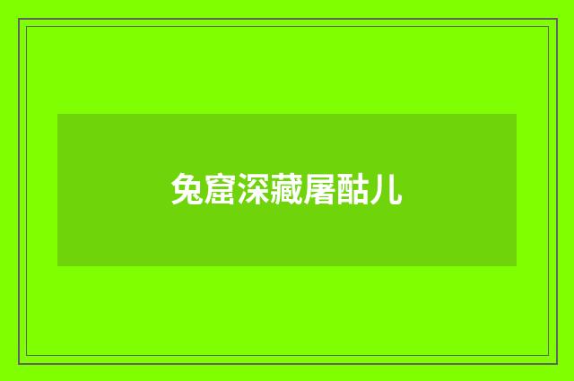 兔窟深藏屠酤儿