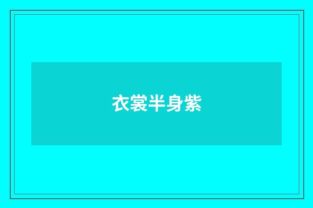 衣裳半身紫