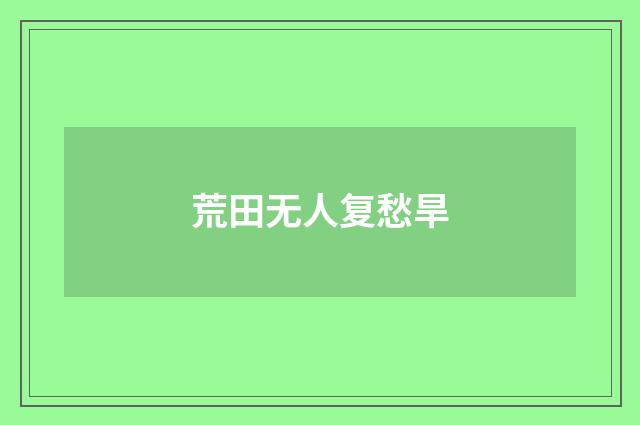 荒田无人复愁旱