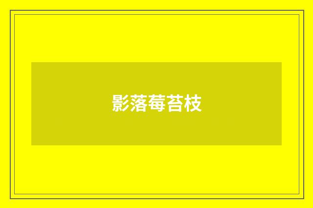 影落莓苔枝
