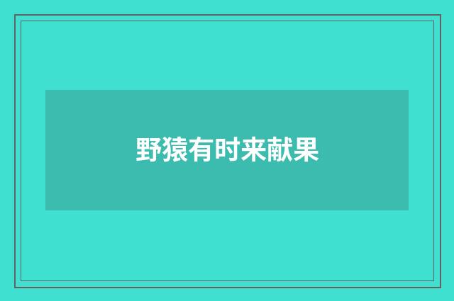 野猿有时来献果