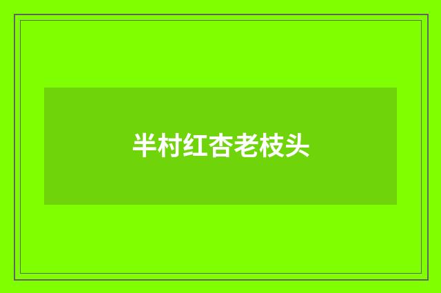 半村红杏老枝头