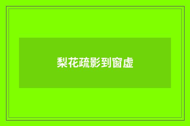 梨花疏影到窗虚