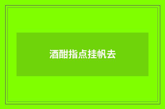 酒酣指点挂帆去