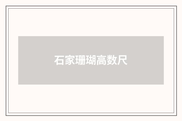 石家珊瑚高数尺