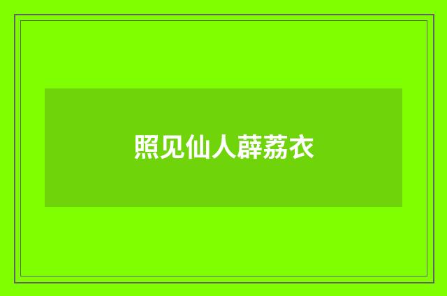 照见仙人薜荔衣