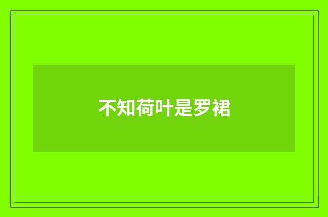 不知荷叶是罗裙